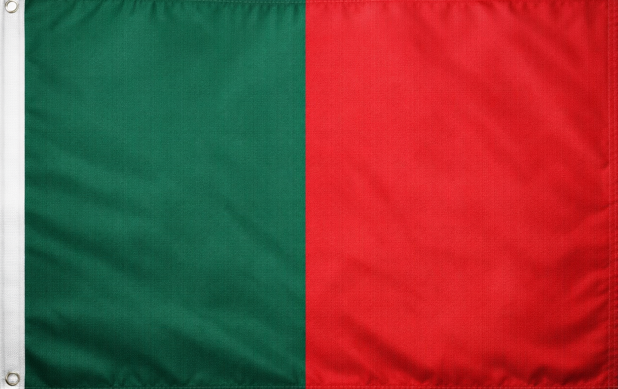 Bandera institucional